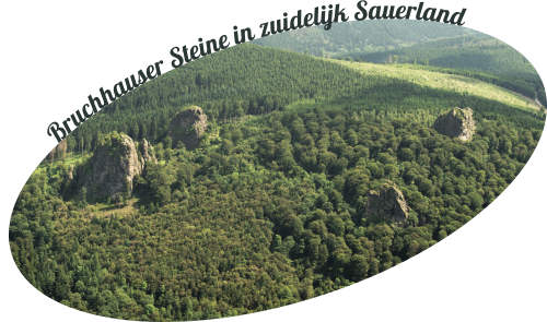 de 4 Bruchhauser Steine in het zuidelijk Sauerland van Duitsland