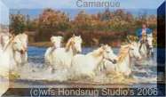 Camargue in Zuid Frankrijk met paarden, flamingo en natuur voor een natuurlijk bezoek