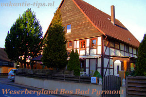 vakantiehuis Weserbergland Bos Bad Pyrmont
