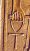 ankh als hieroglyf ofwel tekening