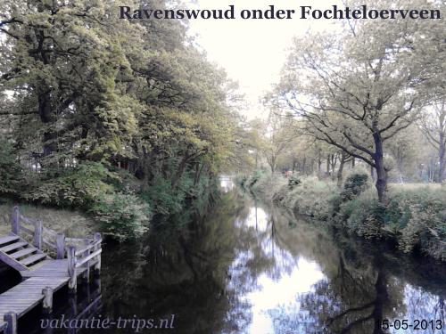 Ravenswoud naast Appelscha eindpunt van de route door het Fochteloerveen komend vanaf de weg van Veenhuizen naar Oosterwolde