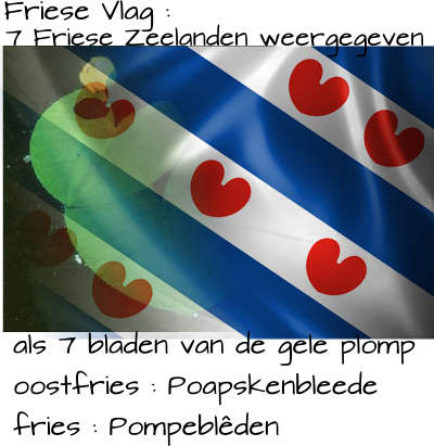de Friese Vlag met 7 Pompeblêden van de gele Plomp geven de 7 Friese (Zee-)landen weer, West-Friesland, Westergo, Oostergo, Hunzingo, Fivelingo, Emsingo en Jeverland en dateert van 1956.