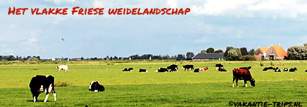 ons vlakke Friese weide land