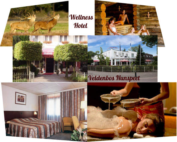 Wellness Hotel Veldenbos Impressie