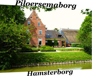 Piloersemaborg of Hamsterborg in Den Ham Groningen