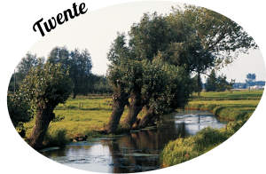 Twente is natuur, kronkelende beken, wisselend landschap van bos, heide, weide, vakantie dus eigenlijk in Overijssel