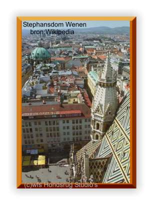 uitzicht vanaf de Stephansdom in Wenen Oostenrijk