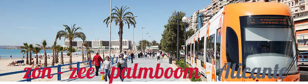 zon zee palmboom = Alicante Spanje