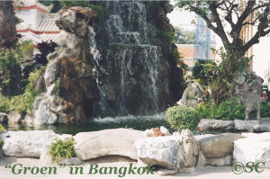 Bangkok kent best wel groene oases in de stad