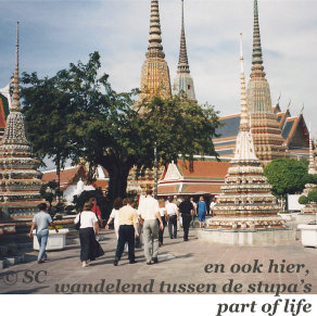 wandelen in Bangkok, maar dan tussen de stupa's door