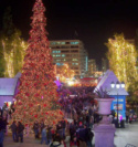 Kerstboom Syntagma Plein Centrum Athene